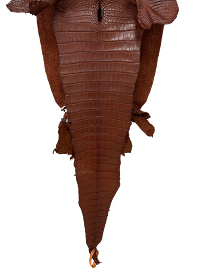 32 cm Grade 2/3 Rodeo Matte Farm-Raised American Alligator Leather - Tag: FL17-0036412
