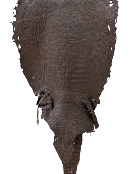 50 cm Grade 4/5 Dark Chocolate Matte Wild American Alligator Leather - Tag: LA23-0033813