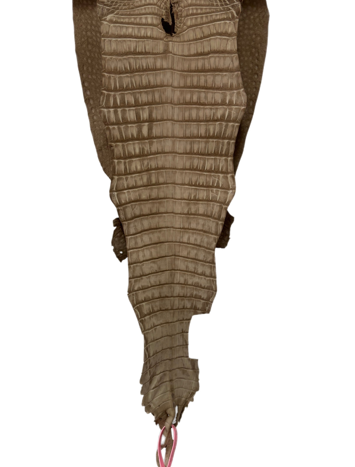 New Color and Finish! 27 cm Grade 2/3 Stormy Nubuck Farm-Raised American Alligator Leather - Tag: FL21-0024112