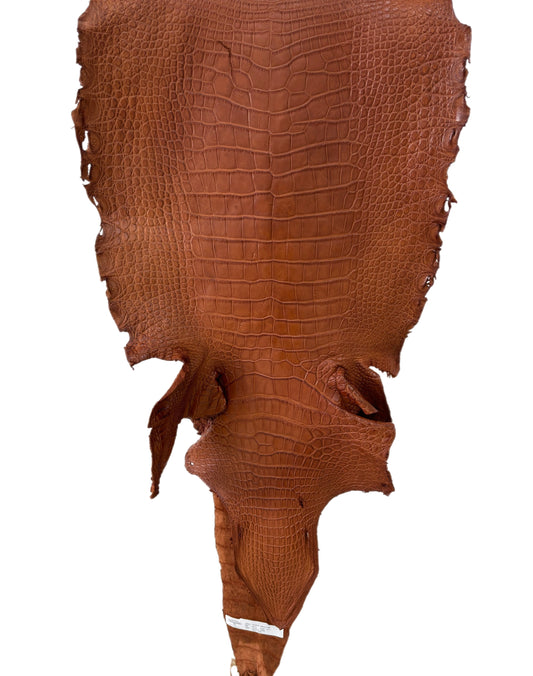 42 cm Grade 4/5 Cognac Matte Wild American Alligator Leather - Tag: LA23-0048480