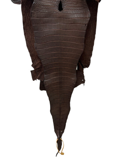 31 cm Grade 3/4 Chocolate Matte Farm-Raised American Alligator Leather - Tag: FL17-0035525