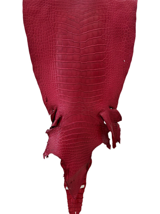 42 cm Grade 3/4 Scarlet Matte Wild American Alligator Leather - Tag: LA23-0025992