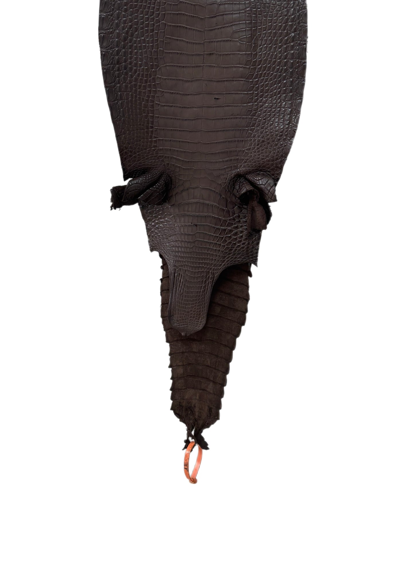 27 cm Grade 2/3 Chocolate Matte Farm-Raised American Alligator Leather - Tag: FL21-0024011