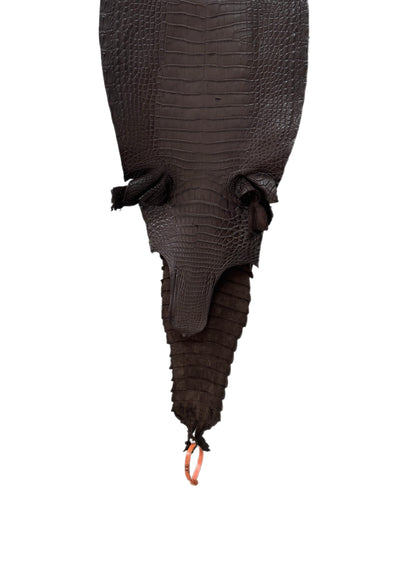 27 cm Grade 2/3 Chocolate Matte Farm-Raised American Alligator Leather - Tag: FL21-0024011