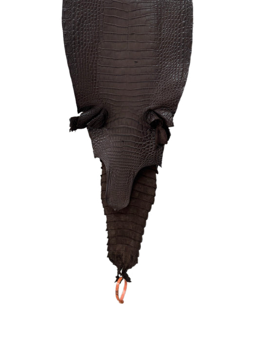 27 cm Grade 2/3 Chocolate Matte Farm-Raised American Alligator Leather - Tag: FL21-0024011