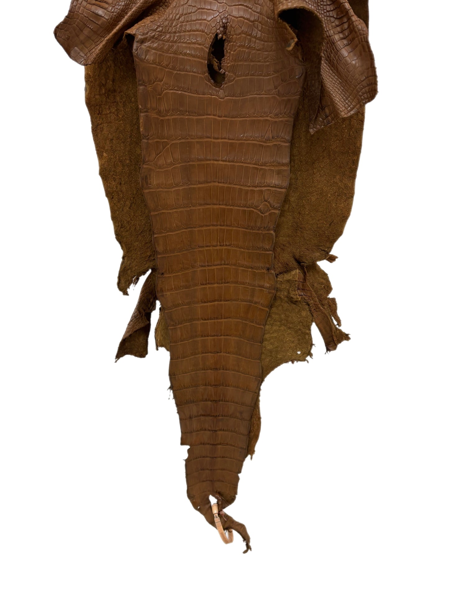 38 cm Grade 2/3 Kango Tabac Matte Wild American Alligator Leather - Tag: LA23-0034065