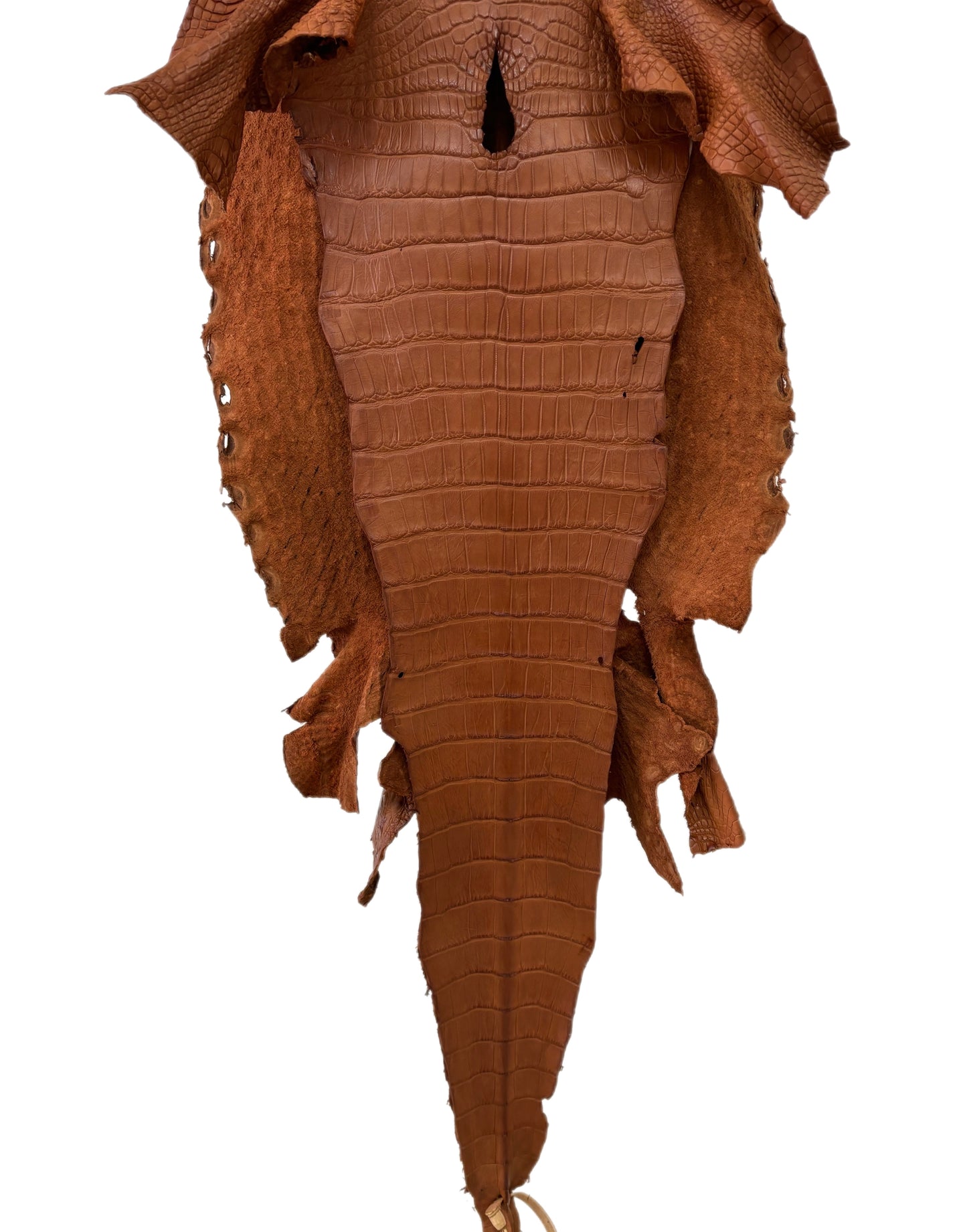 37 cm Grade 3/4 Cognac Matte Wild American Alligator Leather - Tag: LA23-0027023