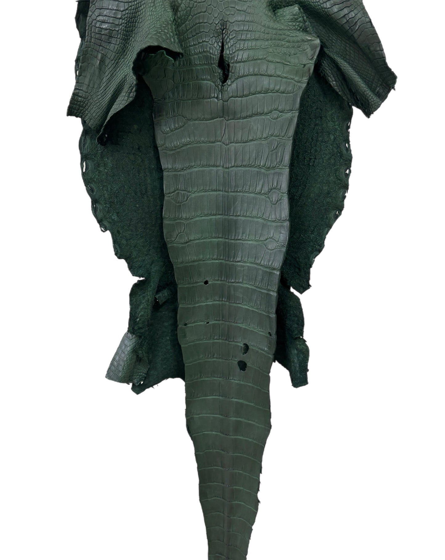 33 cm Grade 2/3 Forest Green Matte Wild American Alligator Leather - Tag: LA23-0024077