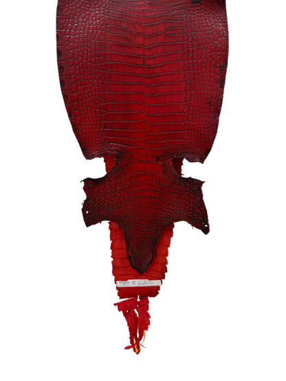 26 cm Grade 1/2 Candy Apple Red Antique Farm-raised American Alligator Leather - Tag: FL22-0030210