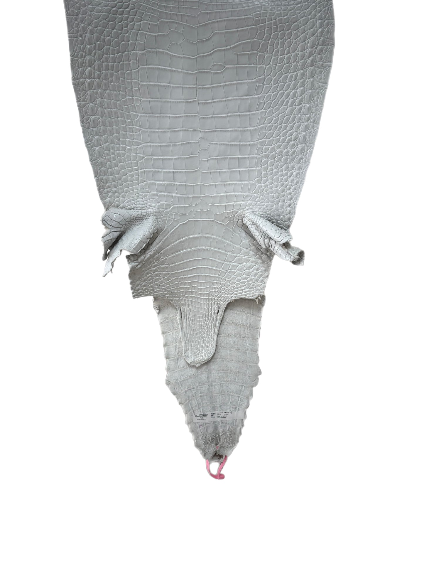 36 cm Grade 1/2 White Matte Farm-Raised American Alligator Leather - Tag: FL21-0024221