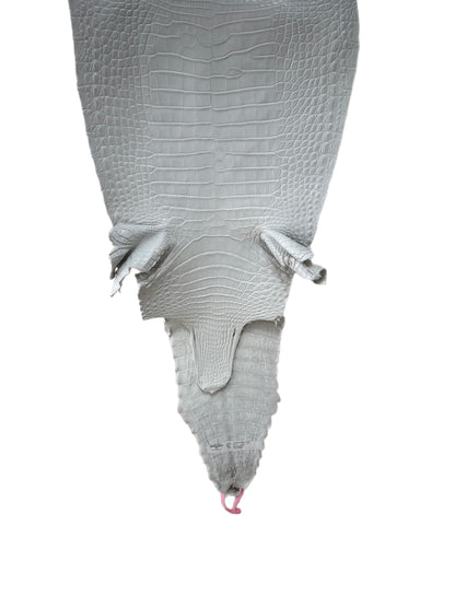 36 cm Grade 1/2 White Matte Farm-Raised American Alligator Leather - Tag: FL21-0024221