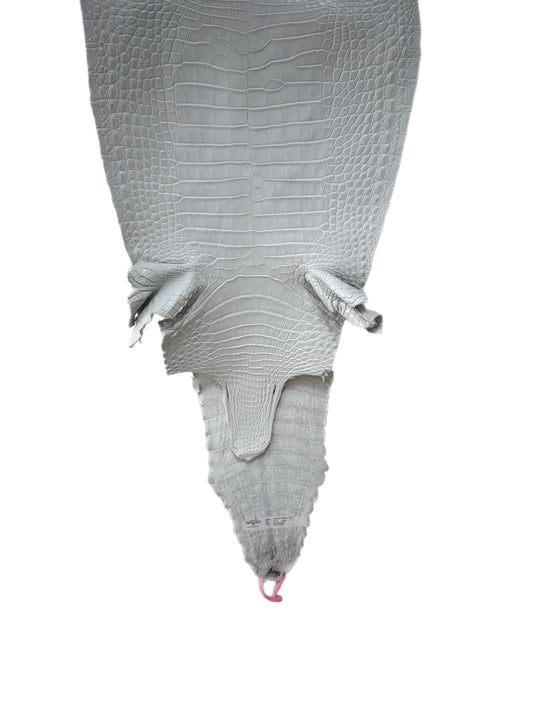 36 cm Grade 1/2 White Matte Farm-Raised American Alligator Leather - Tag: FL21-0024221