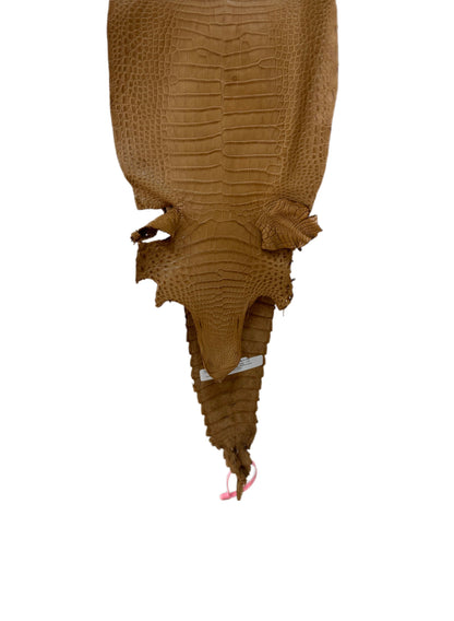 27 cm Grade 2/3 Antique Saddle Matte Farm-Raised American Alligator Leather - Tag: FL21-0024610