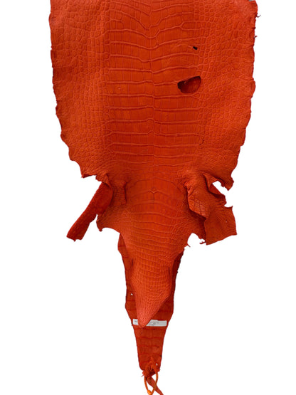 44 cm Grade 4/5 Orange Matte Wild American Alligator Leather - Tag: LA23-0023166
