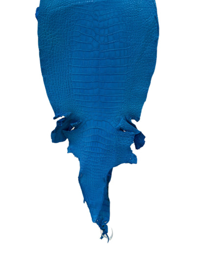31 cm Grade 2/3 Ultramarine Matte Wild American Alligator Leather - Tag: LA23-0004843