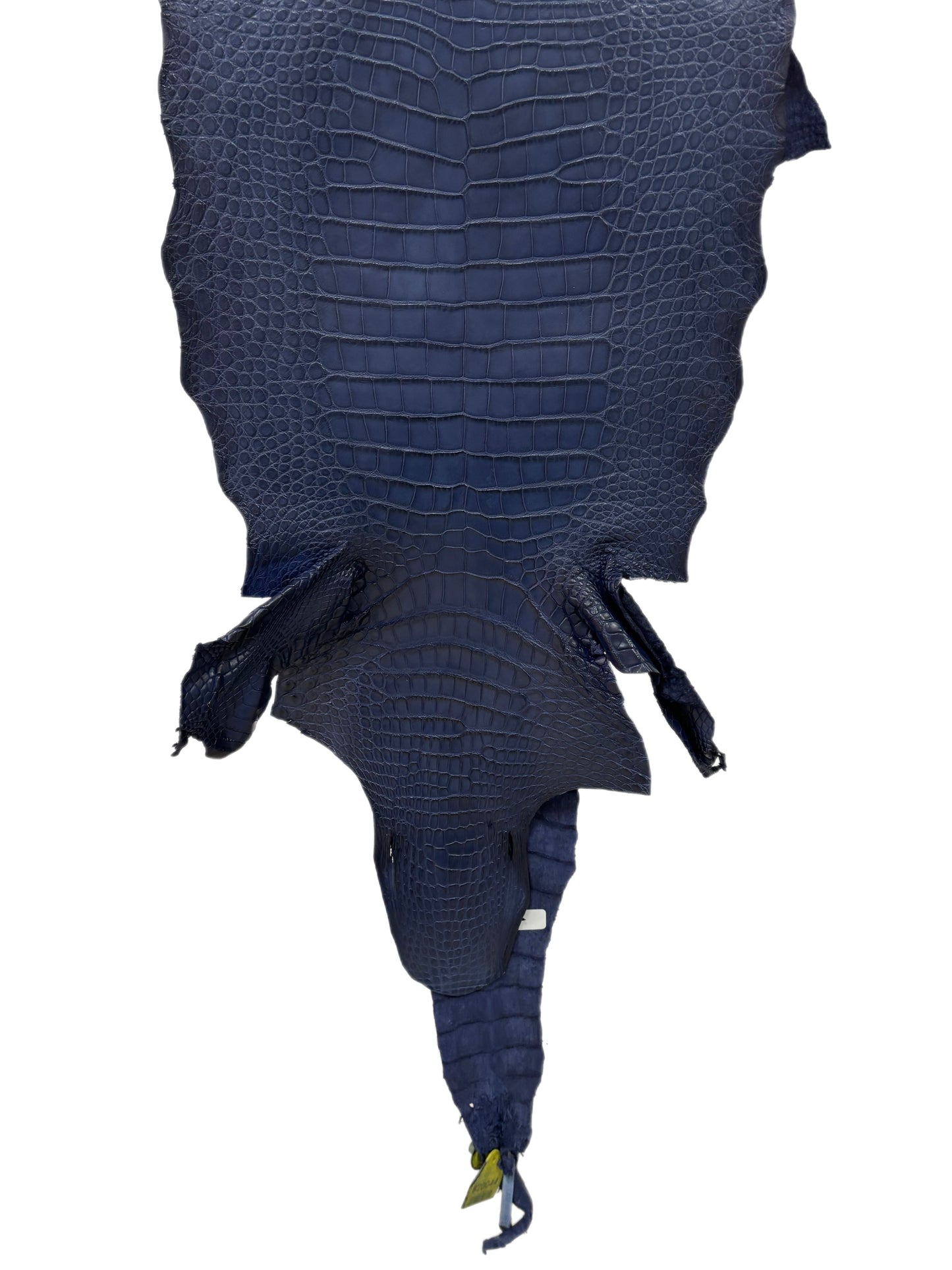 36 cm Grade 1/2 Navy Blue Desert Wild American Alligator Leather - Tag: LA17-0051152