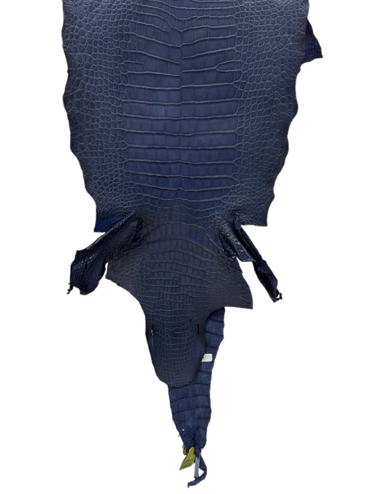 36 cm Grade 1/2 Navy Blue Desert Wild American Alligator Leather - Tag: LA17-0051152