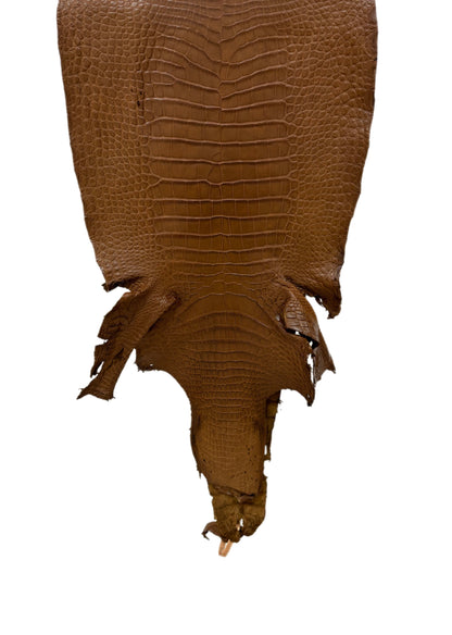 38 cm Grade 2/3 Kango Tabac Matte Wild American Alligator Leather - Tag: LA23-0034065
