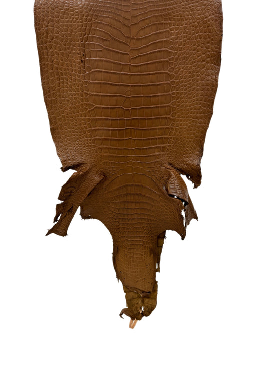 38 cm Grade 2/3 Kango Tabac Matte Wild American Alligator Leather - Tag: LA23-0034065