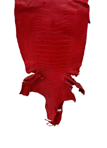 42 cm Grade 4/5 Candy Apple Red Matte Wild American Alligator Leather - Tag: LA24-0039977