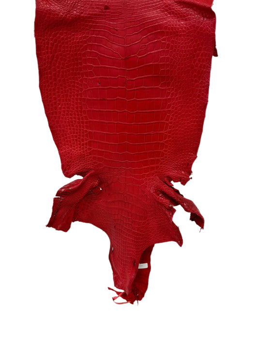 42 cm Grade 4/5 Candy Apple Red Matte Wild American Alligator Leather - Tag: LA24-0039977