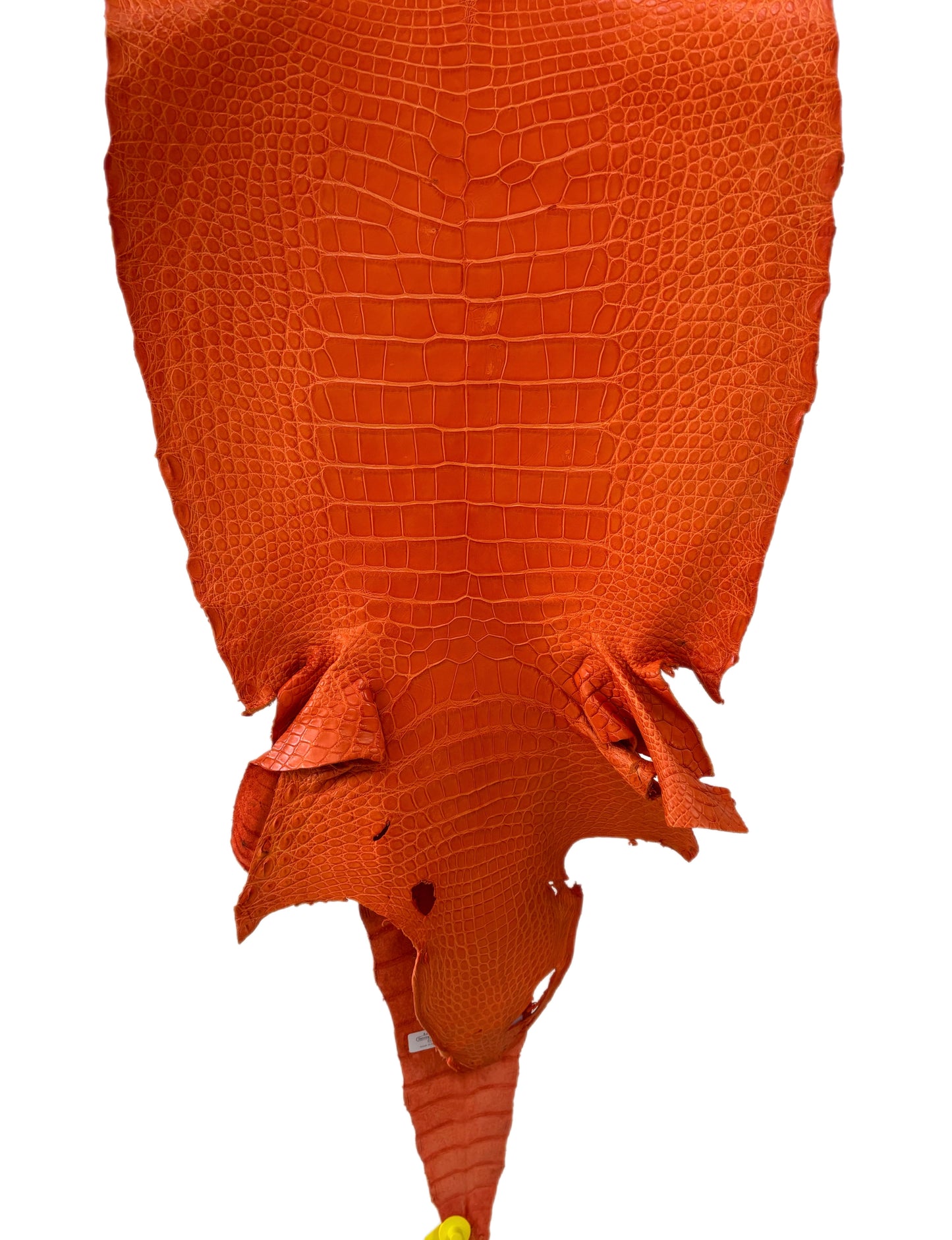44 cm Grade 4/5 Orange Primavera Matte Wild American Alligator Leather - Tag: LA13-0016482