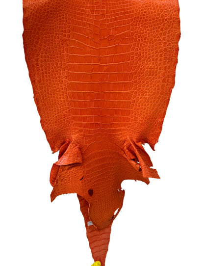 44 cm Grade 4/5 Orange Primavera Matte Wild American Alligator Leather - Tag: LA13-0016482