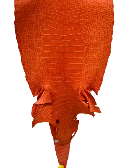 44 cm Grade 4/5 Orange Primavera Matte Wild American Alligator Leather - Tag: LA13-0016482