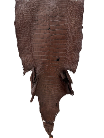 46 cm Grade 3/4 Chocolate Matte Wild American Alligator Leather - Tag: LA23-0019117