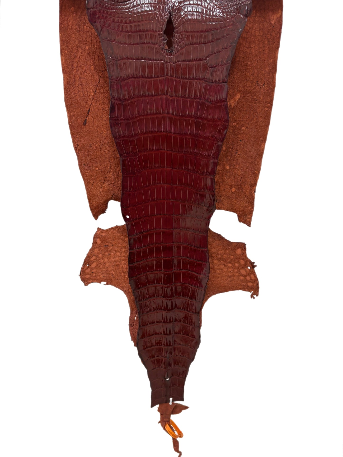 39 cm Grade 2/3 Bourbon Millennium Wild American Alligator Leather - Tag: LA23-0027021