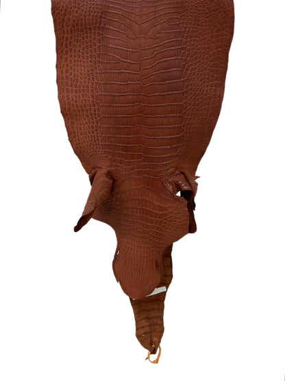 39 cm Grade 4/5 Rustic Cognac Matte Wild American Alligator Leather - Tag: LA23-0014418