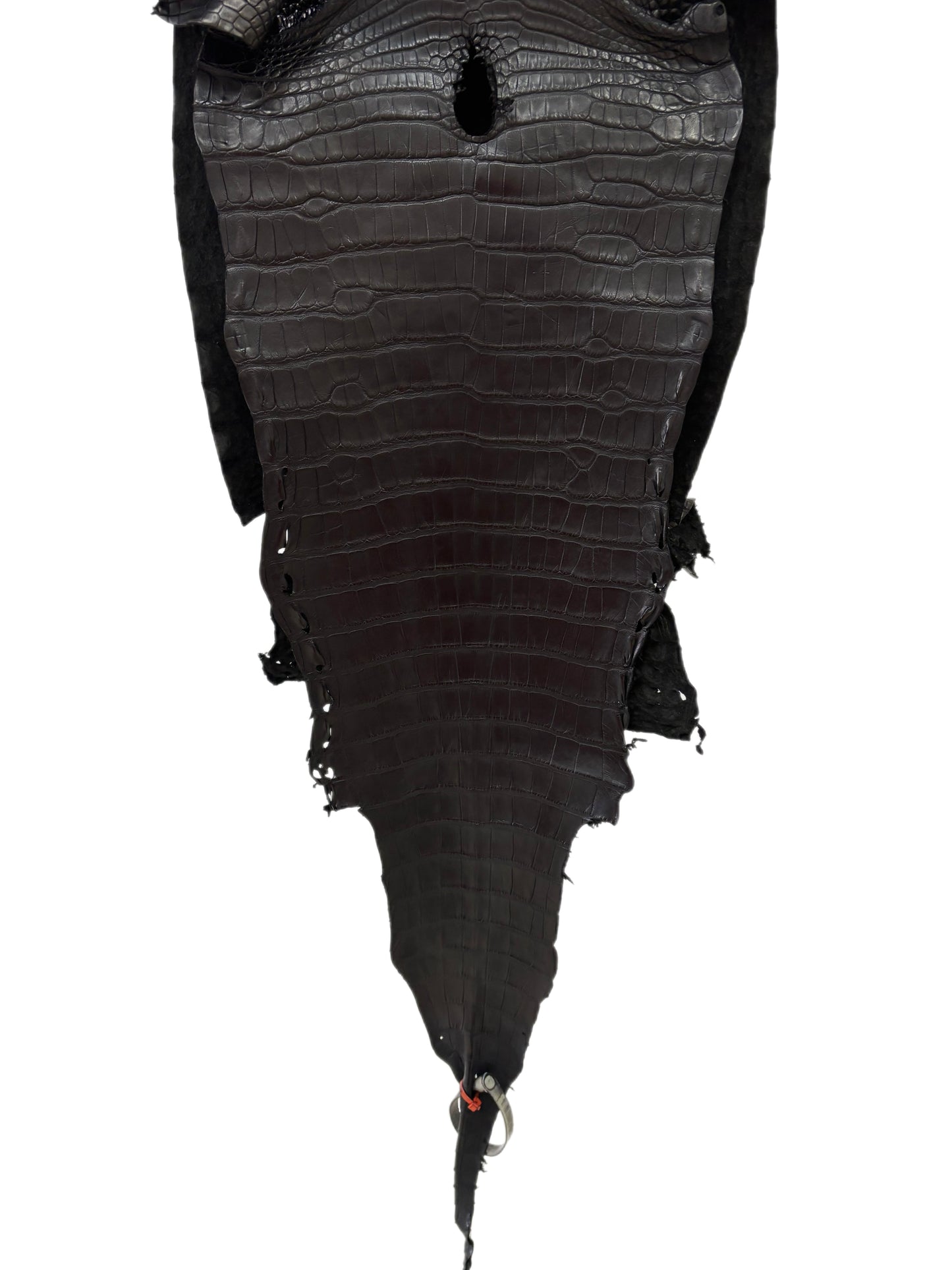 31 cm Grade 2/3 Black Matte Farm-Raised American Alligator Leather - Tag: LA23-0531878