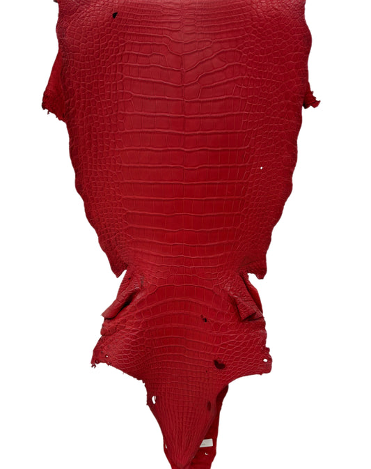 39 cm Grade 2/3 Candy Apple Red Matte Wild American Alligator Leather - Tag: LA23-0048145