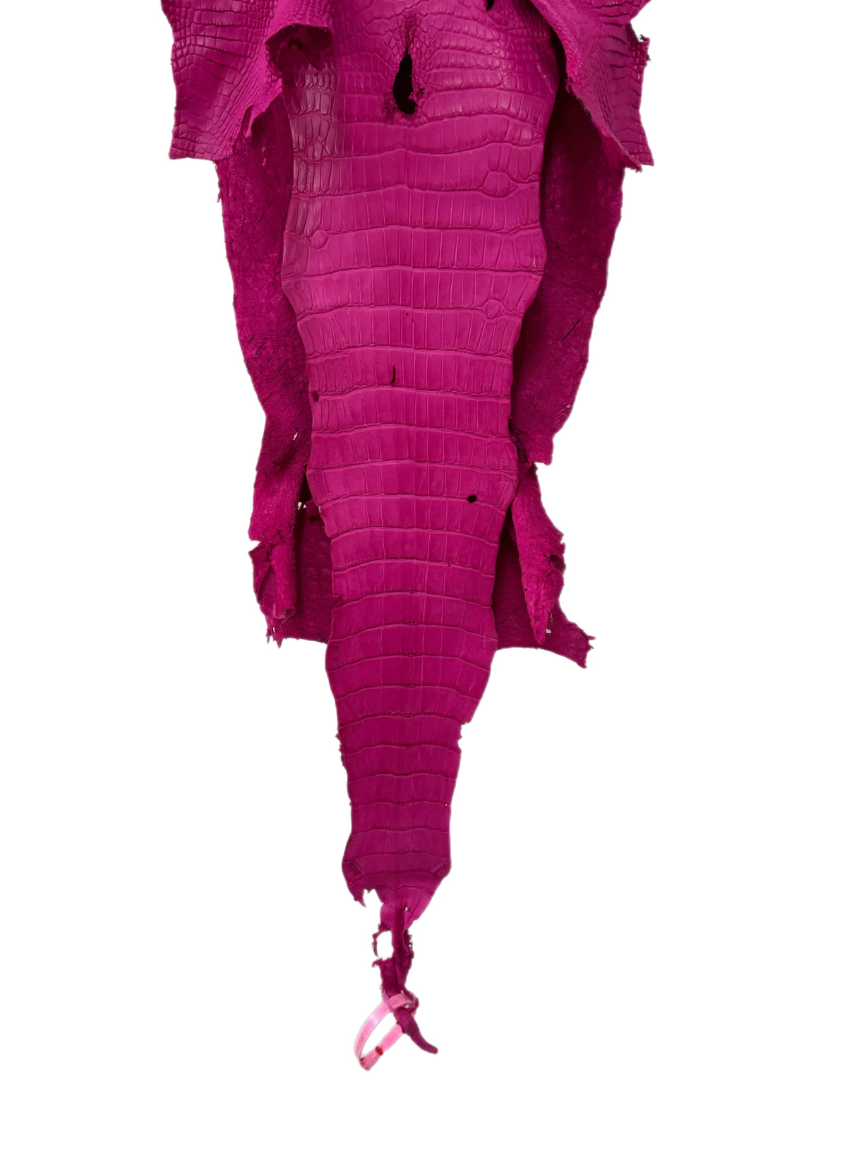 31 cm Grade 3/4 Fuchsia Matte Wild American Alligator Leather - Tag: MS23-0000273