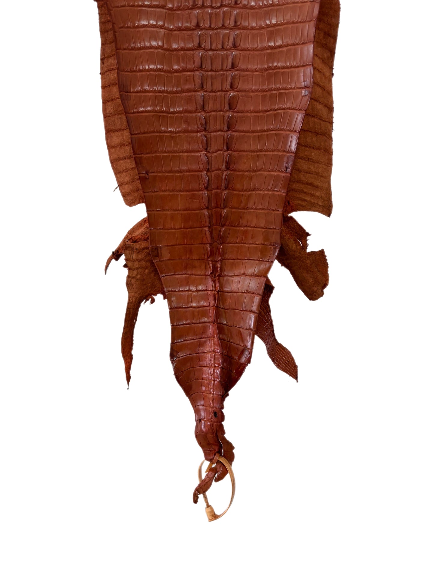 34 cm Grade 1/2 Cognac Matte Farm-Raised American Alligator Hornback Leather - Tag: LA23-0377113