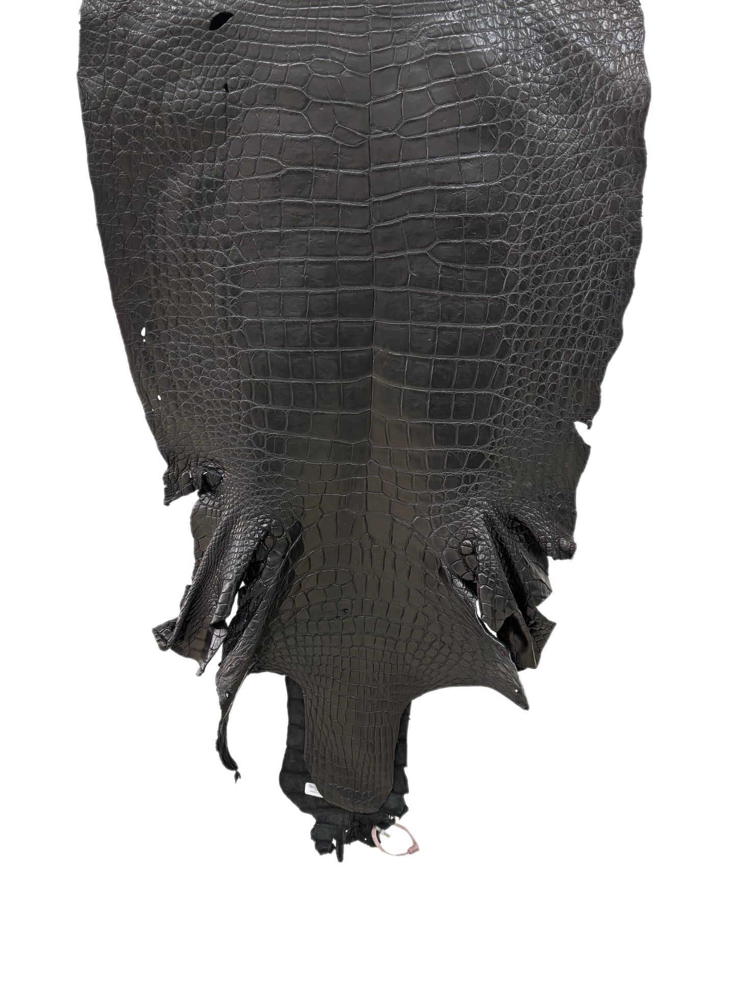 59 cm Grade 4/5 Black Matte Wild American Alligator Leather - Tag: FL24-0075278