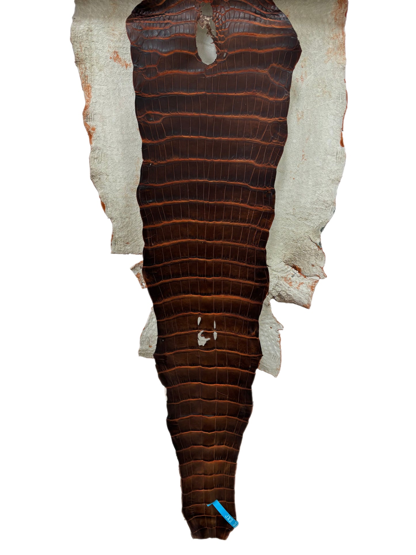 34 cm Grade 1/2 Sienna Matte Wild American Alligator Leather - Tag: ESRE-0050779
