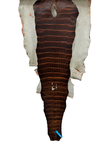 34 cm Grade 1/2 Sienna Matte Wild American Alligator Leather - Tag: ESRE-0050779