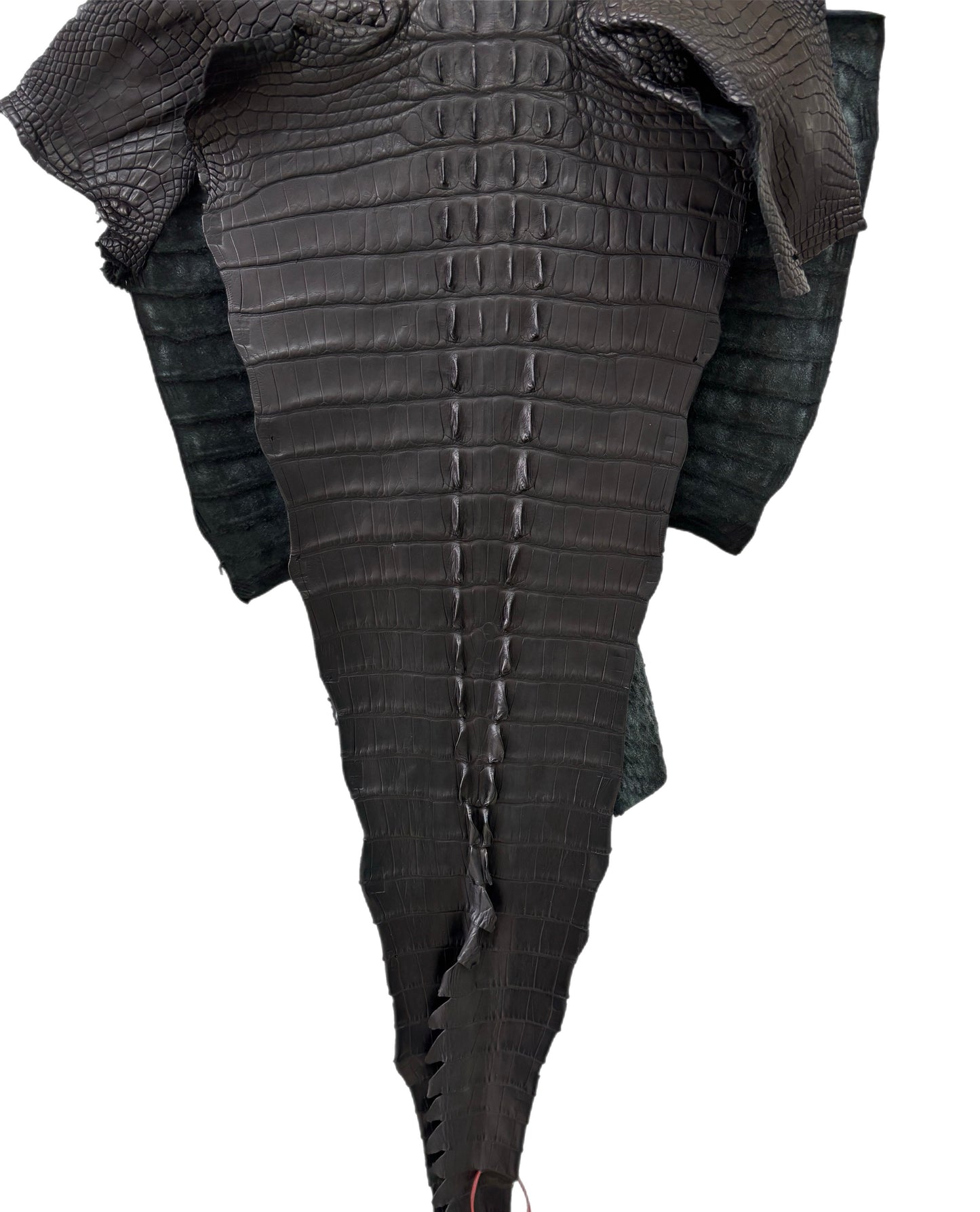 44 cm Grade 1/2 Black Matte Wild American Alligator Leather - Tag: FL07-0026422