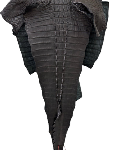 44 cm Grade 1/2 Black Matte Wild American Alligator Leather - Tag: FL07-0026422