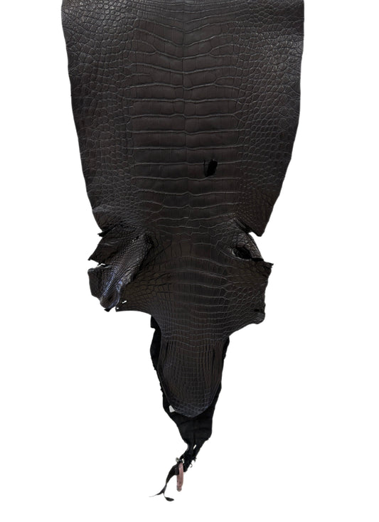 41 cm Grade 2/3 Black Matte Wild American Alligator Leather - Tag: LA24-0041493
