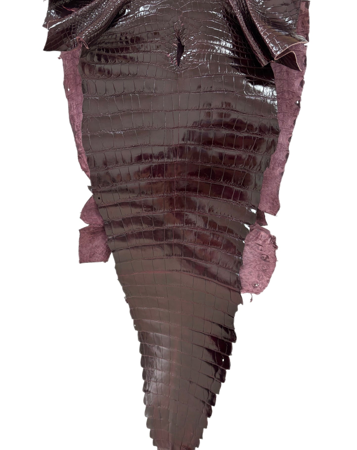 43 cm Grade 2/3 Burgundy Glazed Farm-Raised American Alligator Leather - Tag: GA13-0024506