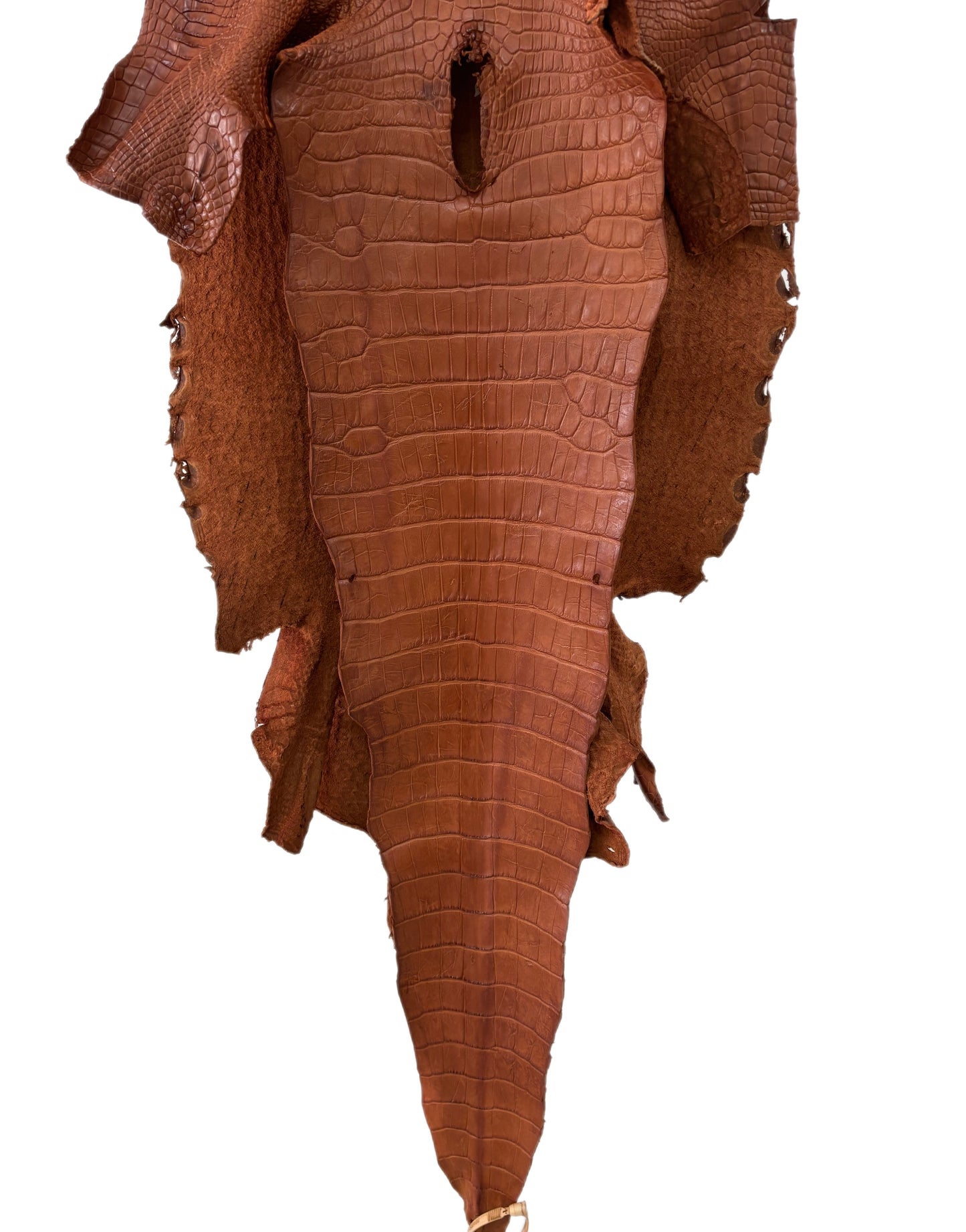 42 cm Grade 4/5 Cognac Matte Wild American Alligator Leather - Tag: LA23-0048480