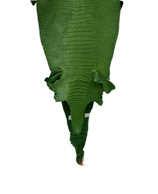 28 cm Grade 3/4 Jungle Green Matte Farm-Raised American Alligator Leather - Tag: FL21-0023997