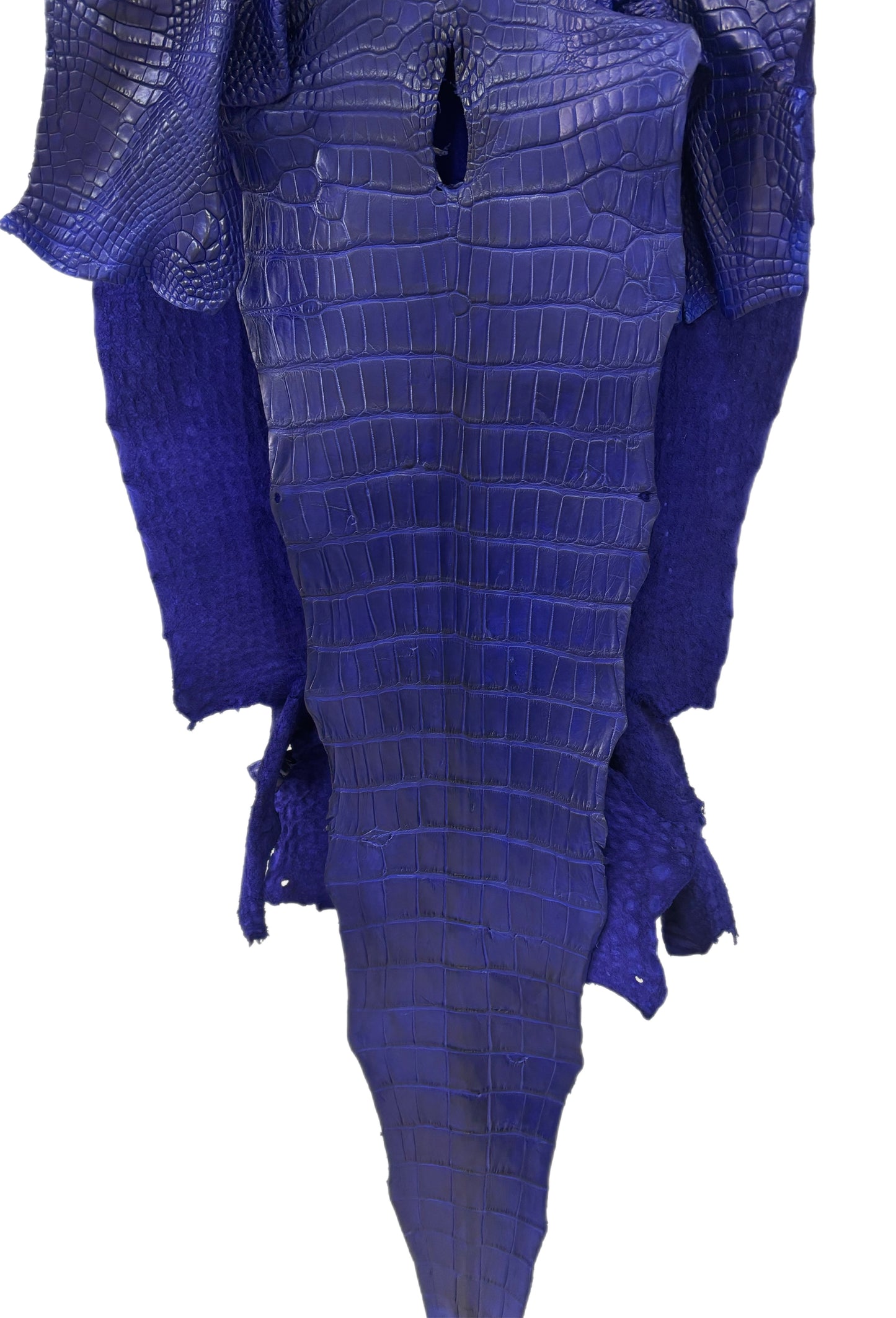 43 cm Grade 2/3 Cobalt Blue Matte Wild American Alligator Leather - Tag: LA23-0016343