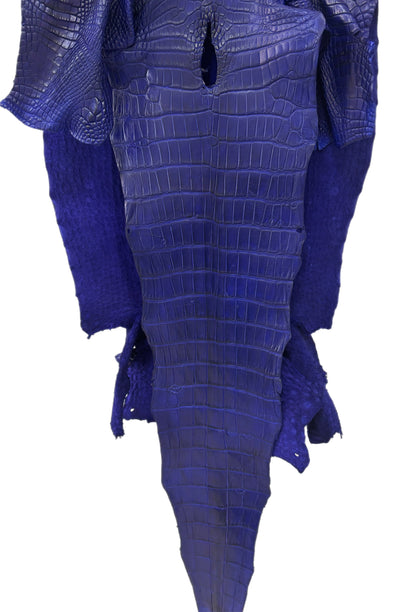 43 cm Grade 2/3 Cobalt Blue Matte Wild American Alligator Leather - Tag: LA23-0016343