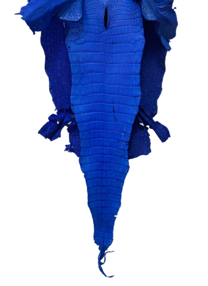 36 cm Grade 4/5 Royal Blue Matte Wild American Alligator Leather - Tag: LA17-0053555