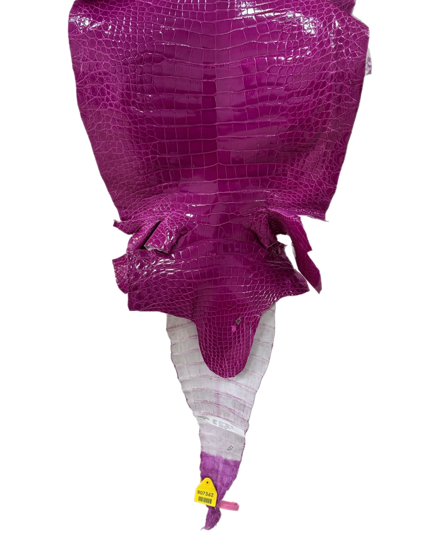 36 cm Grade 2/3 Magenta Glazed Farm Raised American Alligator Leather - Tag: FL14-0003679