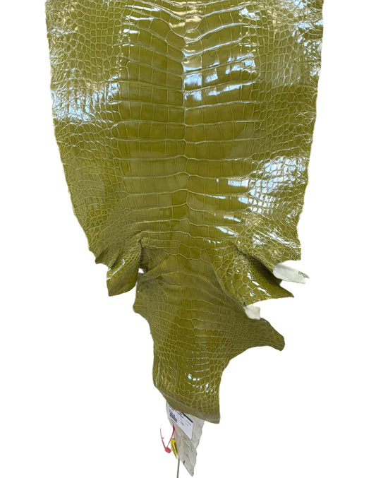 CLOSEOUT | 43 cm Grade 3/4 Muguet Glazed Wild American Alligator Leather - Tag: CCIT-0539937