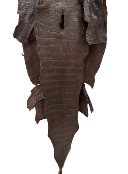 42 cm Grade 3/4 Chocolate Matte Wild American Alligator Leather - Tag: LA23-0017249